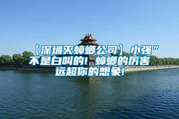 【深圳滅蟑螂公司】小強”不是白叫的! 蟑螂的厲害遠超你的想象!