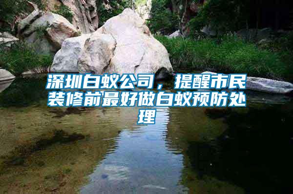 深圳白蟻公司,提醒市民裝修前最好做白蟻預(yù)防處理