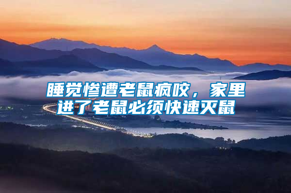 睡覺慘遭老鼠瘋咬,家里進(jìn)了老鼠必須快速滅鼠