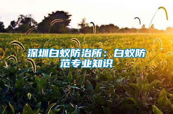 深圳白蟻防治所:白蟻防范專業知識