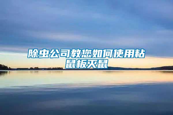 除蟲(chóng)公司教您如何使用粘鼠板滅鼠