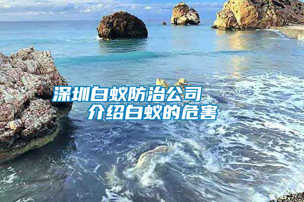 深圳白蟻防治公司 介紹白蟻的危害