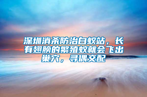 深圳消殺防治白蟻站,長有翅膀的繁殖蟻就會飛出巢穴,尋偶交配