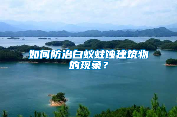 如何防治白蟻蛀蝕建筑物的現象?