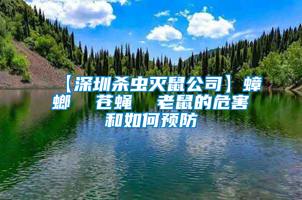【深圳殺蟲滅鼠公司】蟑螂 蒼蠅 老鼠的危害和如何預(yù)防