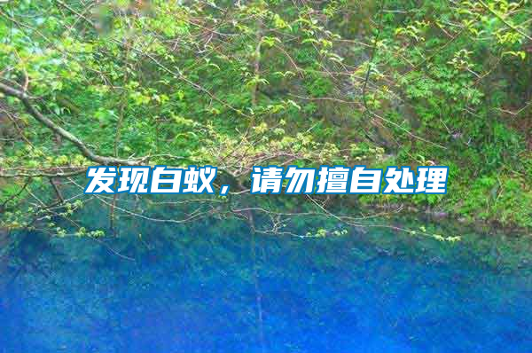 發現白蟻,請勿擅自處理