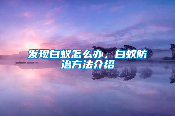 發現白蟻怎么辦,白蟻防治方法介紹
