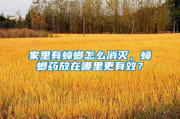 家里有蟑螂怎么消滅，蟑螂藥放在哪里更有效？