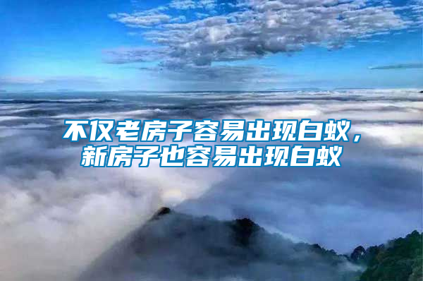 不僅老房子容易出現白蟻,新房子也容易出現白蟻