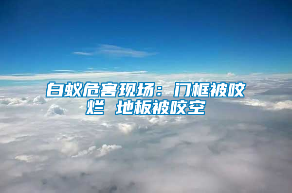 白蟻危害現場:門框被咬爛 地板被咬空