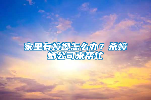 家里有蟑螂怎么辦？殺蟑螂公司來幫忙