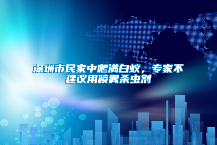 深圳市民家中爬滿白蟻,專家不建議用噴霧殺蟲劑