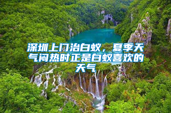 深圳上門治白蟻,夏季天氣悶熱時正是白蟻喜歡的天氣