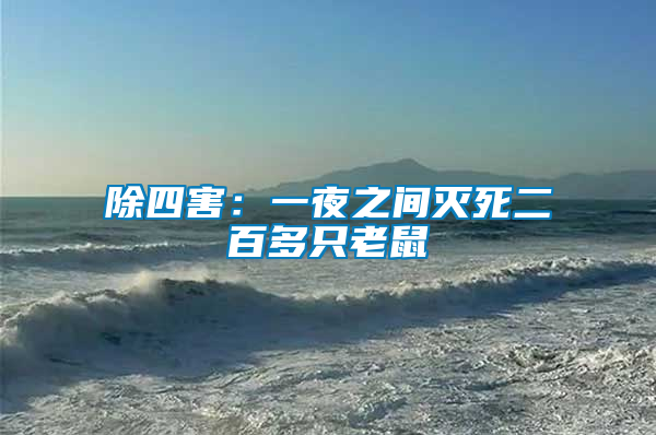 除四害:一夜之間滅死二百多只老鼠