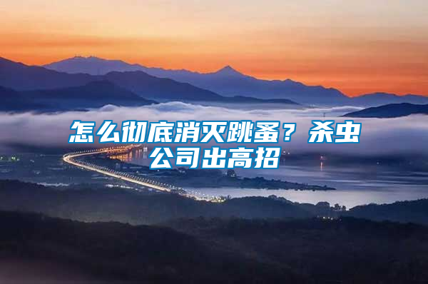 怎么徹底消滅跳蚤?殺蟲公司出高招