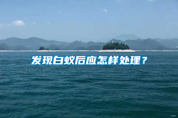 發現白蟻后應怎樣處理?