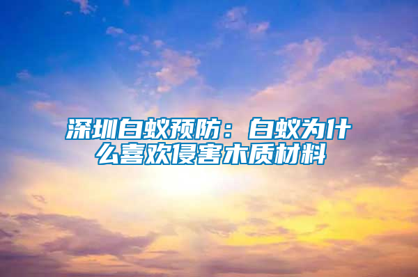 深圳白蟻預(yù)防:白蟻為什么喜歡侵害木質(zhì)材料