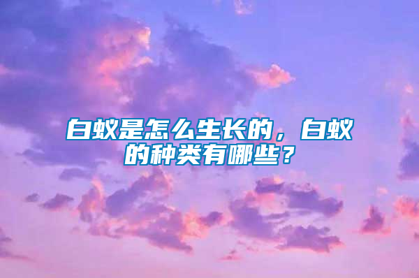 白蟻是怎么生長的，白蟻的種類有哪些？