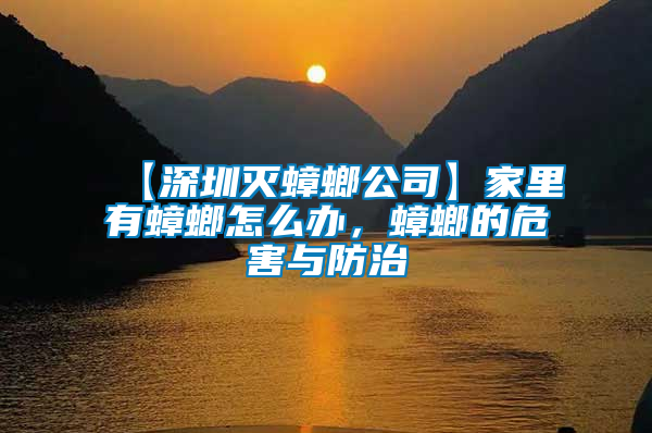 【深圳滅蟑螂公司】家里有蟑螂怎么辦，蟑螂的危害與防治