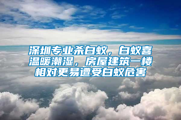 深圳專業殺白蟻,白蟻喜溫暖潮濕,房屋建筑一樓相對更易遭受白蟻危害