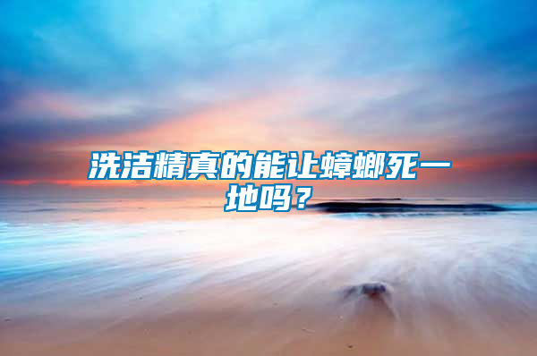 洗潔精真的能讓蟑螂死一地嗎？