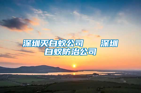 深圳滅白蟻公司 深圳白蟻防治公司
