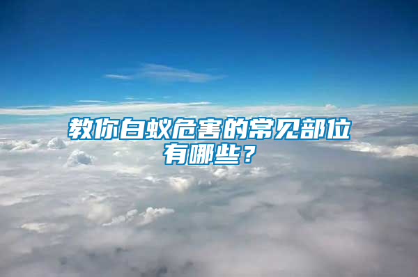 教你白蟻危害的常見部位有哪些？