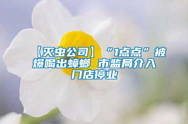 【滅蟲公司】“1點(diǎn)點(diǎn)”被爆喝出蟑螂 市監(jiān)局介入門店停業(yè)