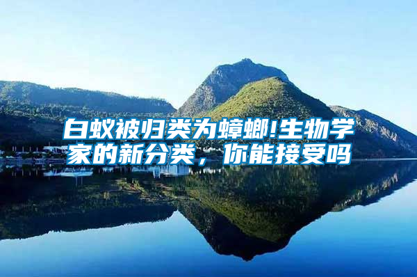 白蟻被歸類為蟑螂!生物學家的新分類,你能接受嗎