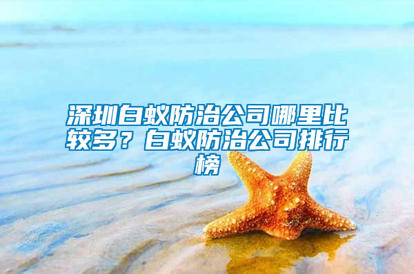 深圳白蟻防治公司哪里比較多?白蟻防治公司排行榜
