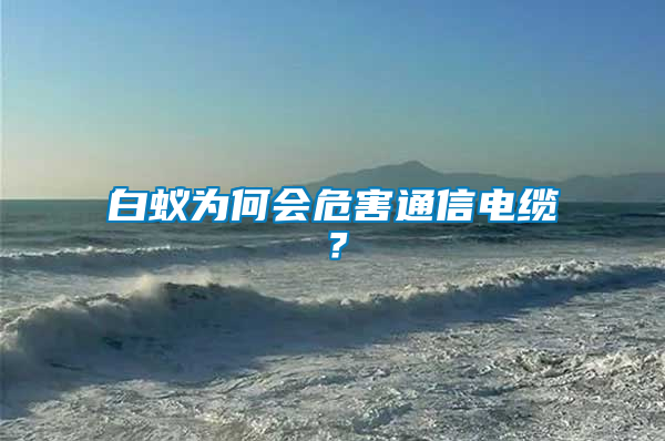 白蟻為何會危害通信電纜?