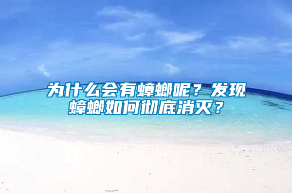 為什么會有蟑螂呢？發現蟑螂如何徹底消滅？